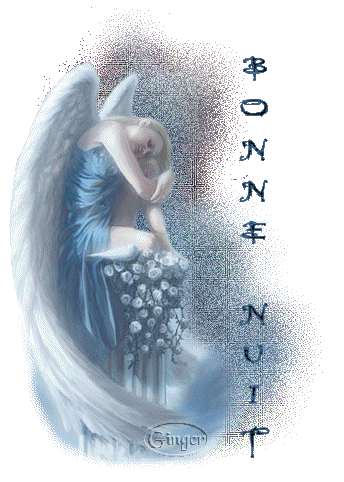 Immagine con la scritta "Bonne Nuit, con un angelo di colore azzurro glitterato